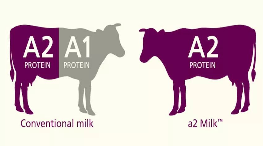 澳洲奶粉骗局揭秘,澳洲奶粉的十大谣言