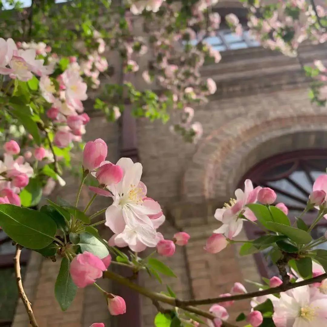 天津南开中学有多牛,天津南开中学入围