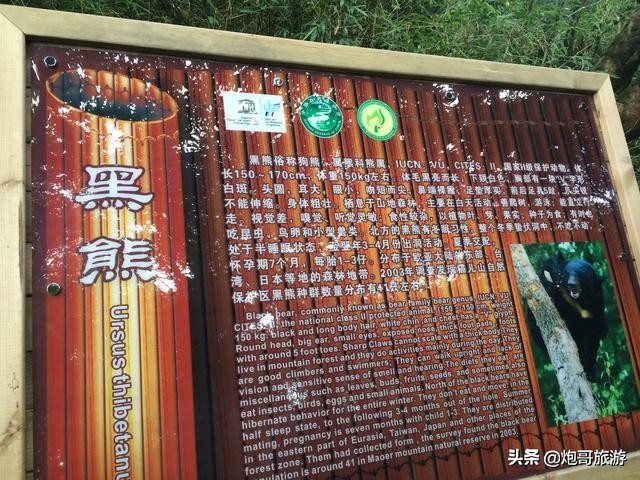 炮哥游山视频全集,炮哥游记