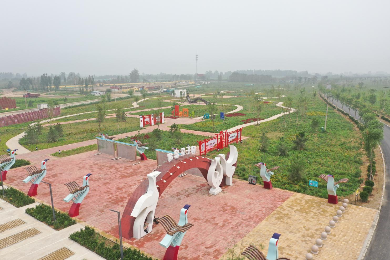 又一大片花海惊艳滹沱河,滹沱河生态景区滹沱花海