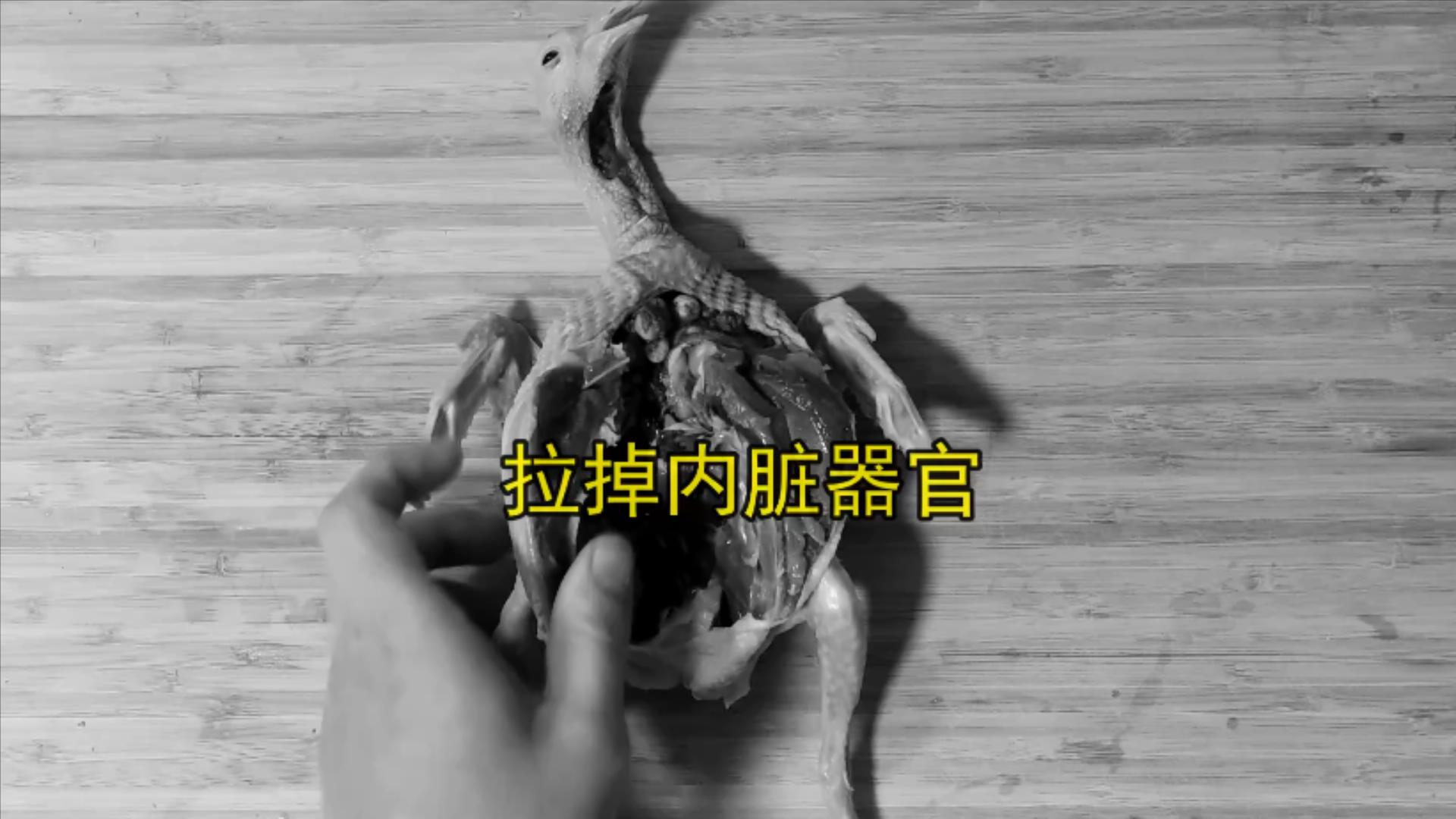 鸽子十大毒素排名,鸽子的毒素在哪里