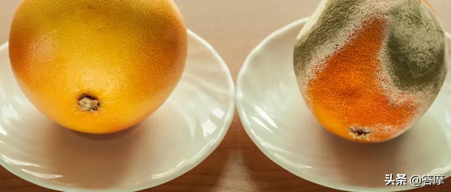 舌象脏腑图,体内有湿寒的舌象