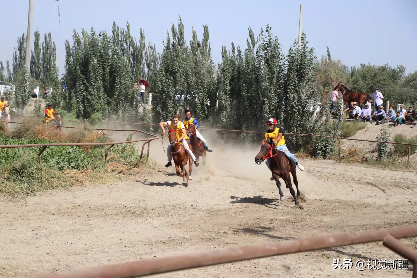 中交绿城诚园库尔勒梨花节,中交绿城活动