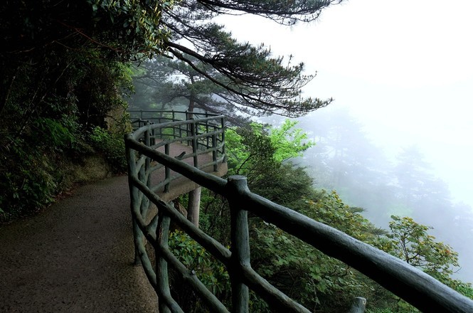 红色之旅井冈山心得体会,红色之旅井冈山作文400字