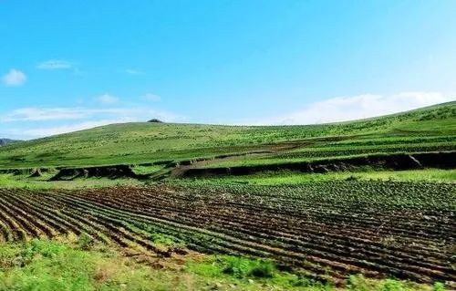 2021农资行业好做吗,农资行业良性竞争才能走得更长远