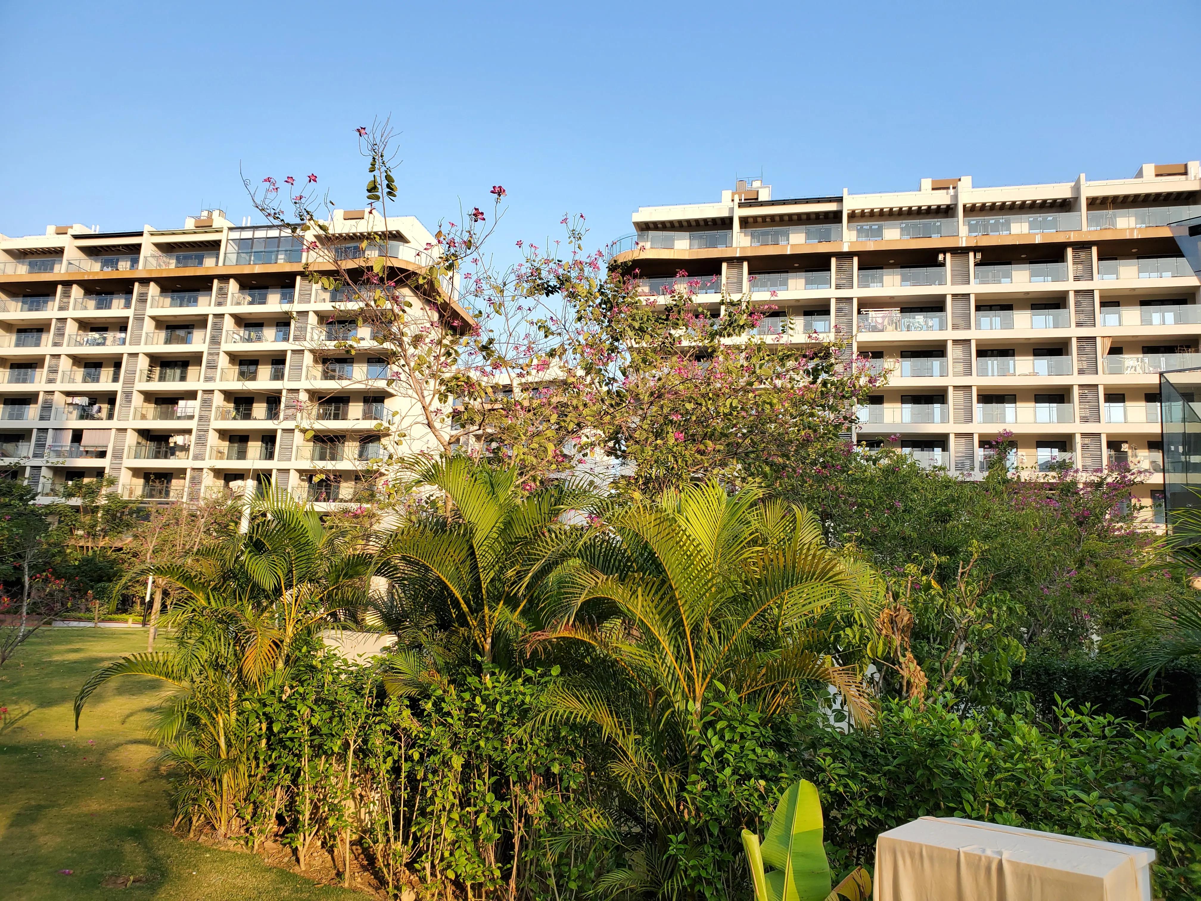 这个冬天我就要去旅行,来三亚享受着冬天里的夏天吧