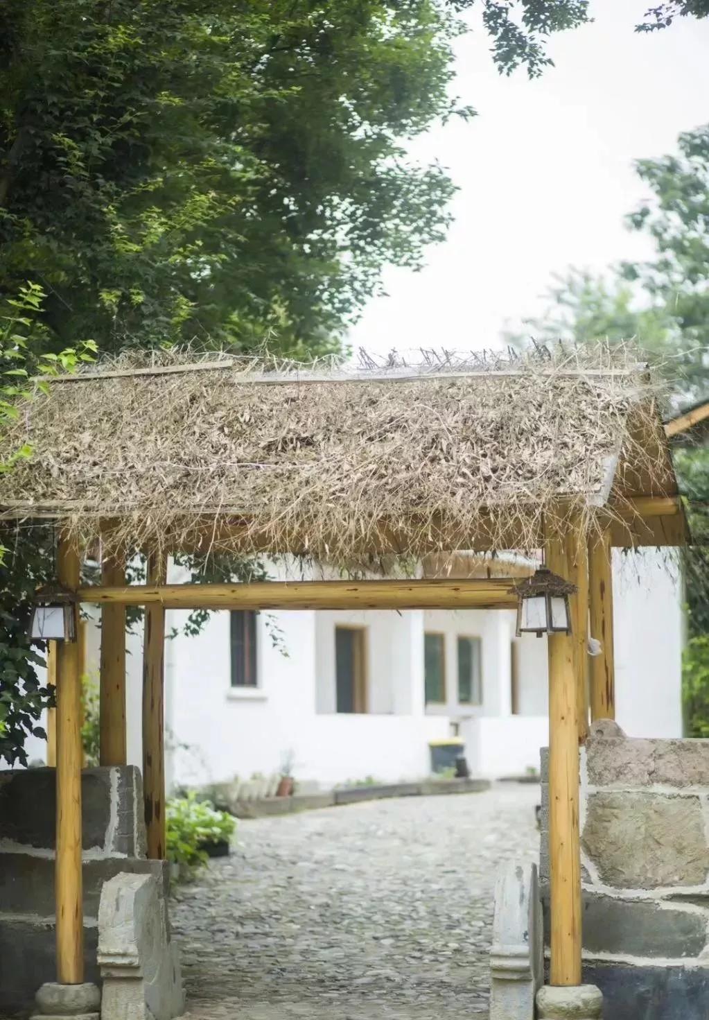 80后夫妻住山,80后两口子隐居大山