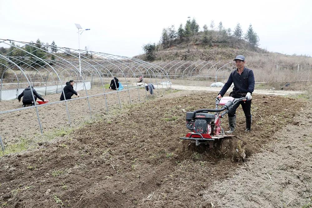 温州永嘉海拔最高的小村落，有座百年农场！很多人没听说过