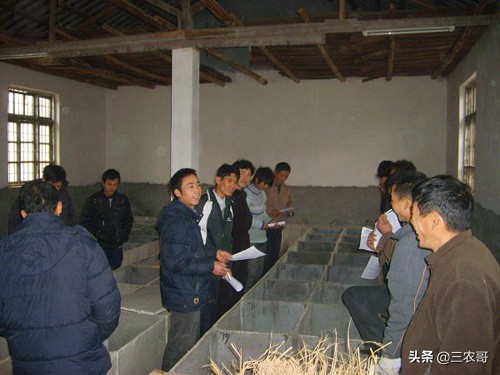 农村致富小投资的创业项目有哪些,适合穷人的18个创业项目农村投资