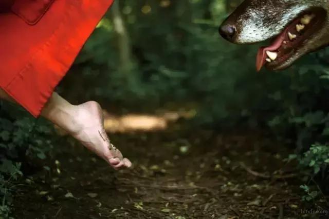 大家今年拍过最好看的照片,近期拍的最好看的照片