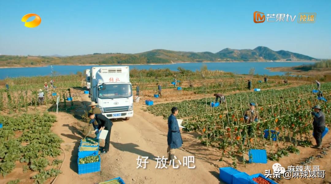 ​这是扶贫剧？开玩笑的吧…