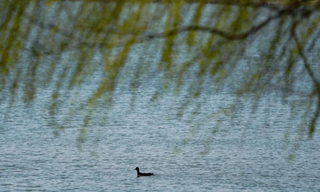 2023年郑州重大项目和基建,郑州公布415个市重点建设项目