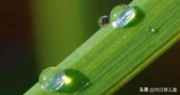 为什么吃中药对肿瘤没有帮助,儿童肿瘤吃中药有用吗