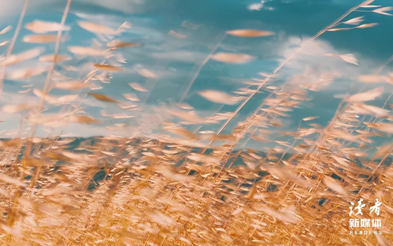 在一个地方租了10年的房子,在出租屋住了七年