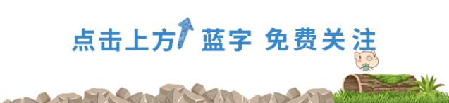 work与job的意思及区别,workandjob区分