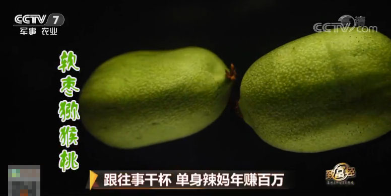 爱美单身女人8年闯出一片天地年赚百万实现财富逆袭