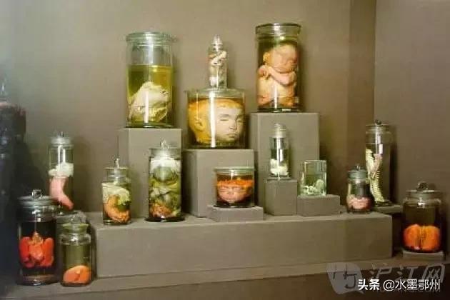 日本人奇葩博物馆,欧美奇葩博物馆