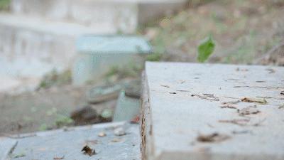 一双鞋装上28片“刀锋”弹簧，缓解脚底压力，跑步和走路一样轻松