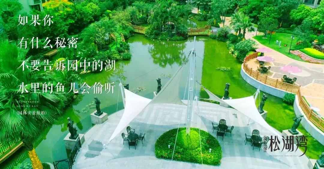 房有道正能量,房有道团购