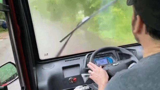 出门遇到这“街头流氓”,我劝你快逃