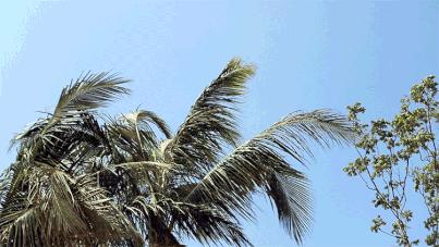 深圳海岸线高清图,深圳比较漂亮的海岸线