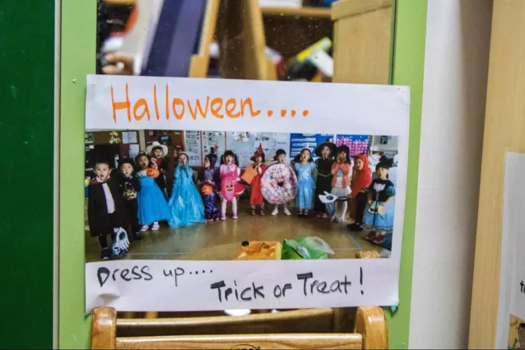 东莞有些什么特色幼儿园,东莞规模最大的幼儿园