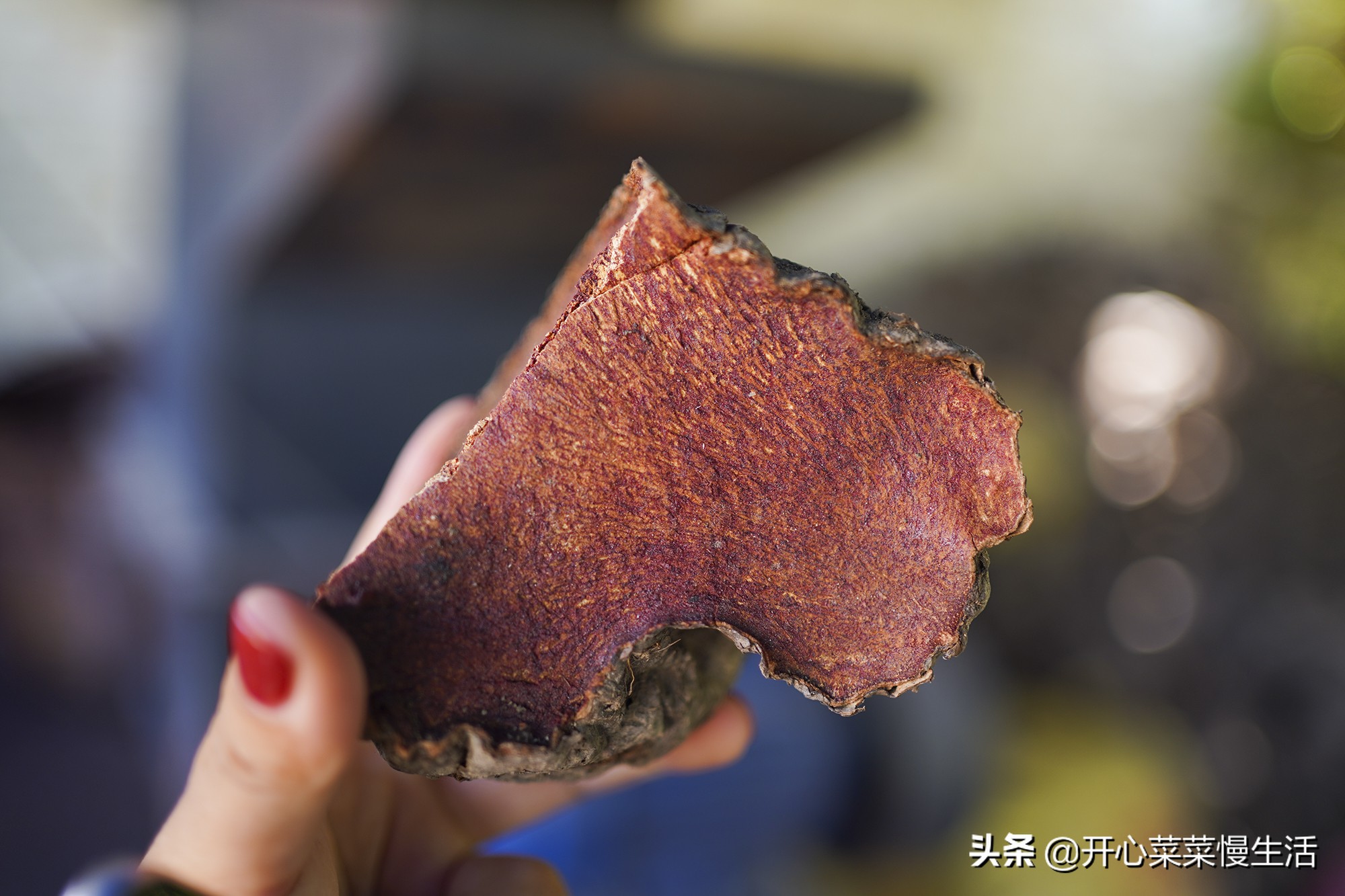 100%的香云纱桑蚕丝套装民国款,穿民国香云纱的女人