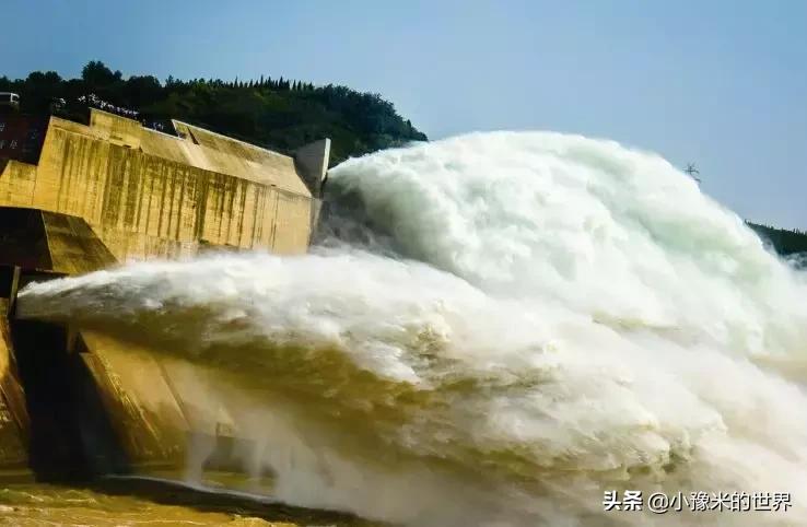 河南洛阳发布最新通知,洛阳牡丹花会向全世界发出邀请