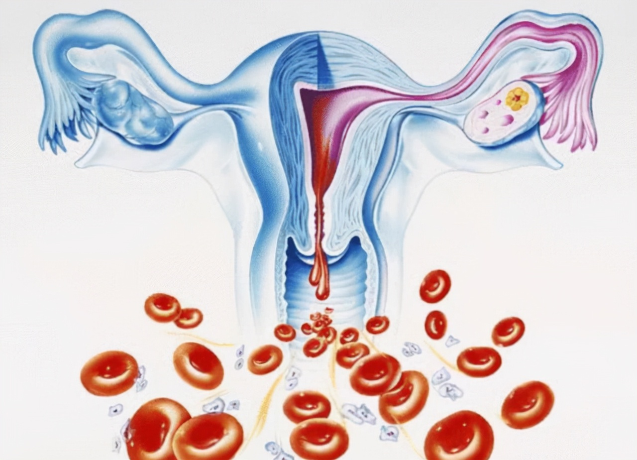 50岁月经不来了怎么调理,40岁不来大姨妈是什么原因引起的