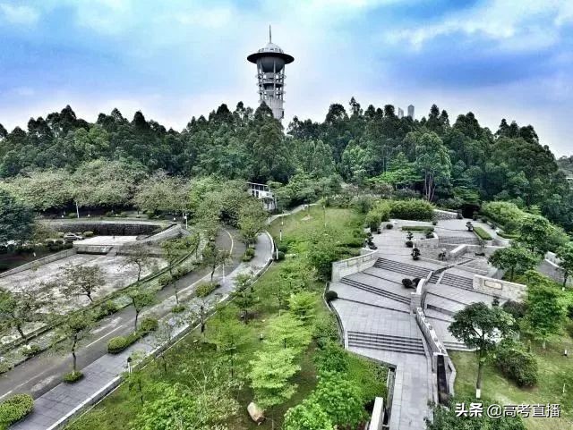 深圳最好的深职院校,深职院全国排第一专科大学