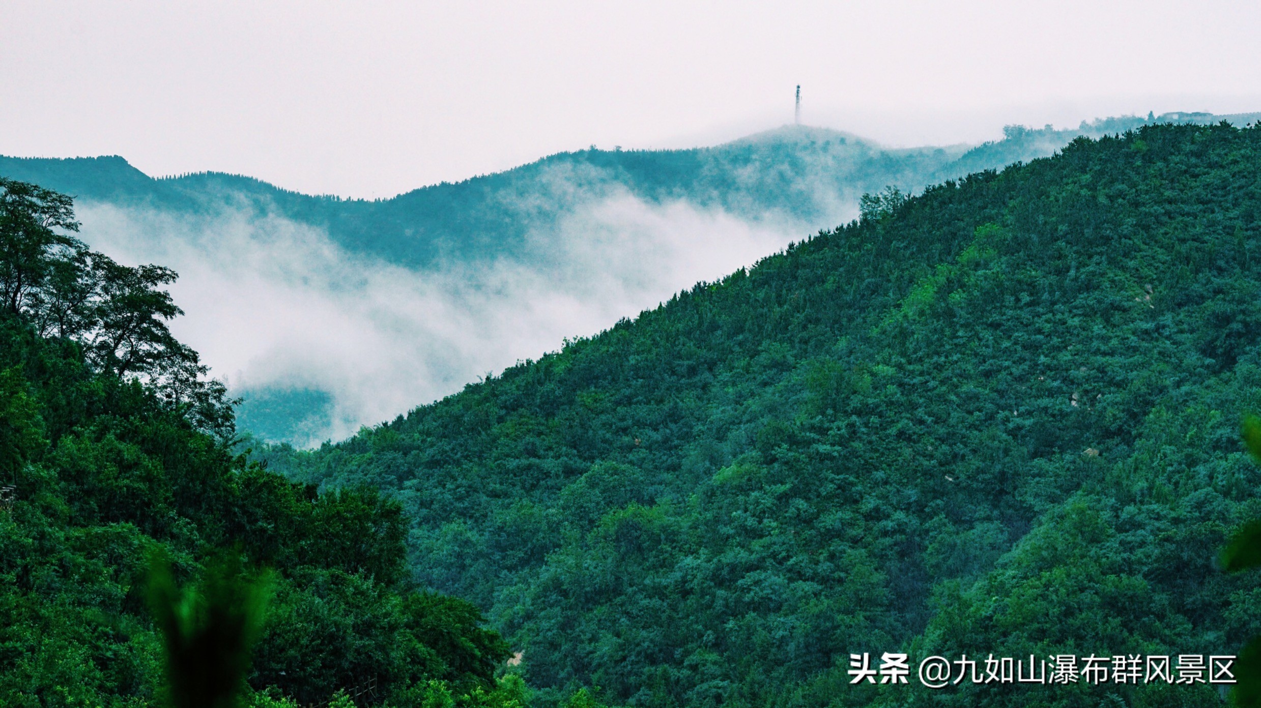 济南九如山65岁老人免票吗,济南九如山60岁以上老人免票吗