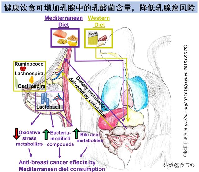 如何将母乳喂养的好处最大化