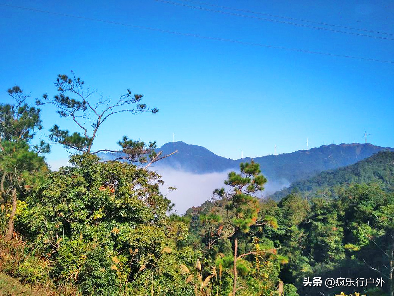 广东既可以玩水又可以泡温泉推荐,广东哪里有野温泉泡