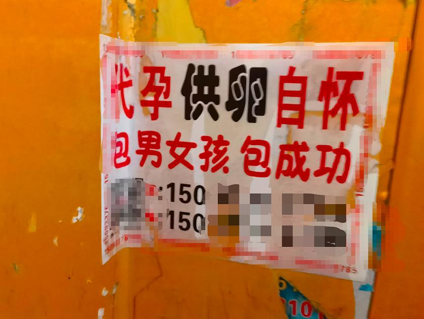 孕育这件大事,孕育是一件非常美好的事