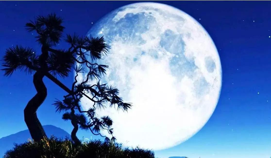 经典绝美的咏月古诗词,中秋咏月古诗词四句四言