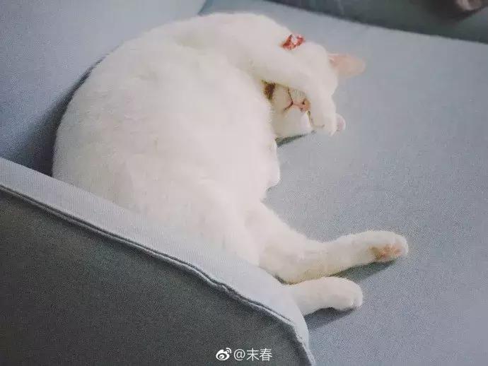 她笔下的女人韵味十足,他笔下的女子美得倾国倾城