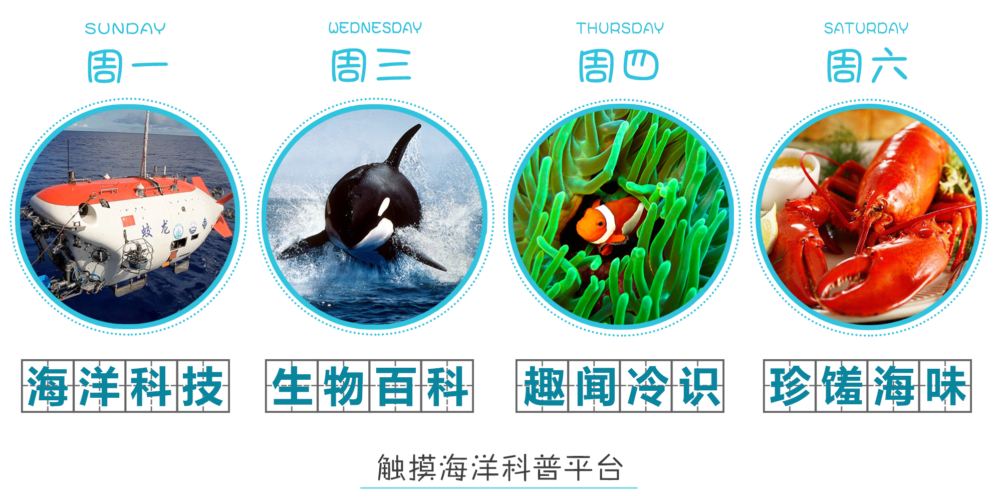 珍珠粉是公认的美白高手,真正美白的珍珠粉