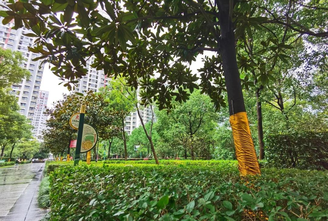 今天，我要好好夸下无锡这个学区房的物业