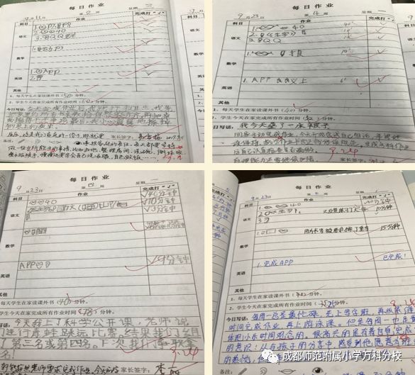 成师附小万科分校楼盘,万科城市花园1期楼栋分布图