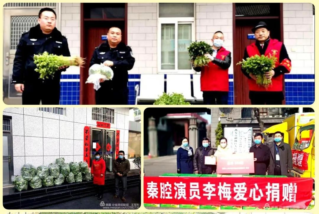众志成城志愿者抗疫,抗击疫情陕西志愿者