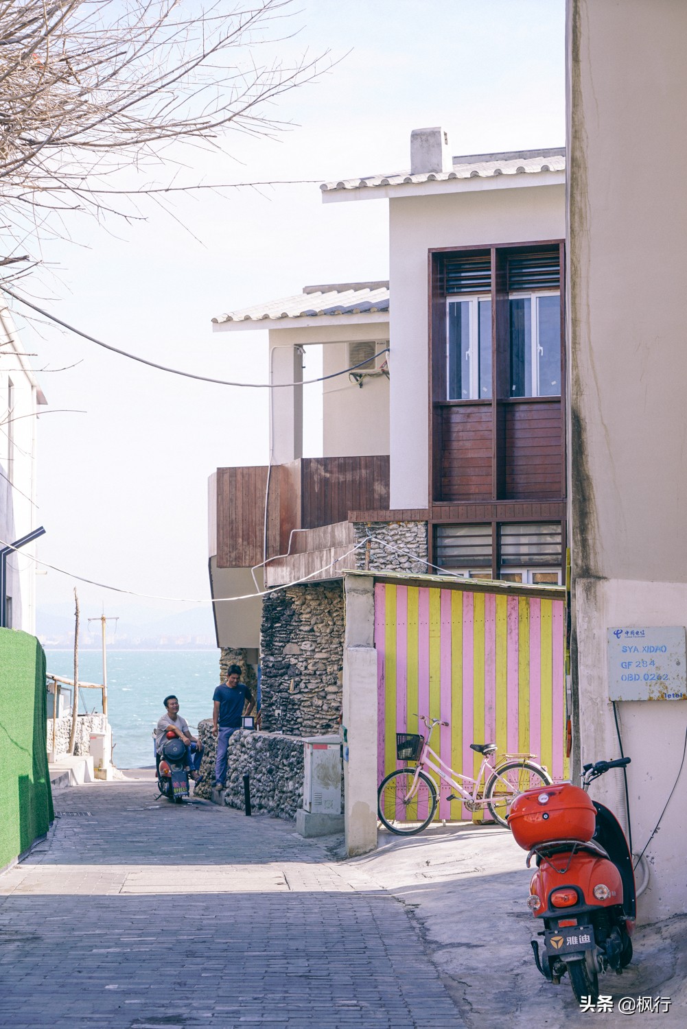 被猴子袭击，门票昂贵，拍照被轰，被我全程吐槽的三亚到底值不值