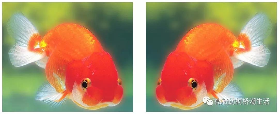 光影魔术手美化人像,光影魔术手如何批量处理美化照片