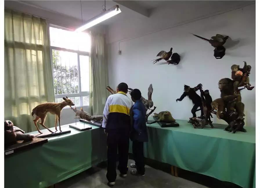 福州杨桥中学排名,福州杨桥中学好还是十八中好