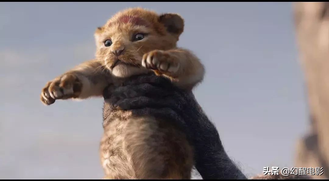 “这简直是草原上的灾难片，有人烧2.5亿拍出来毁一代人的童年”