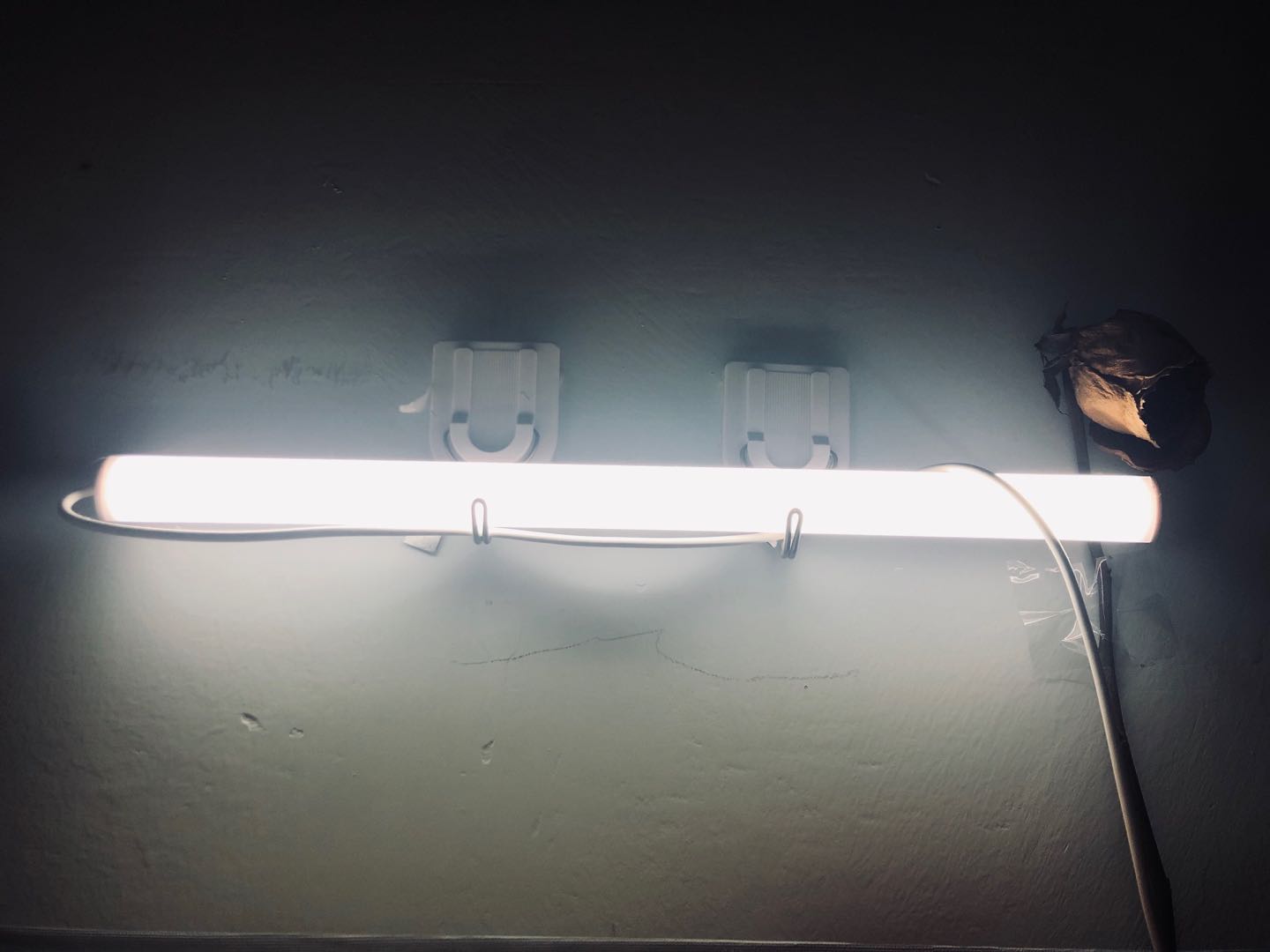 好物推荐提升幸福感爆棚好物,十件提升幸福感的居家好物