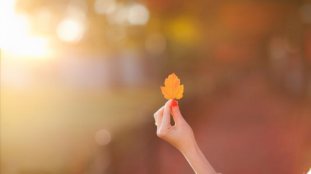 不必太执着又何必为难自己呢,生活已如此艰辛不必为难自己