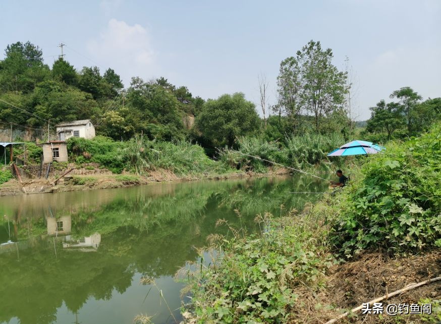 野钓如何才能钓到大鱼,新手野钓怎么钓才能钓到鱼