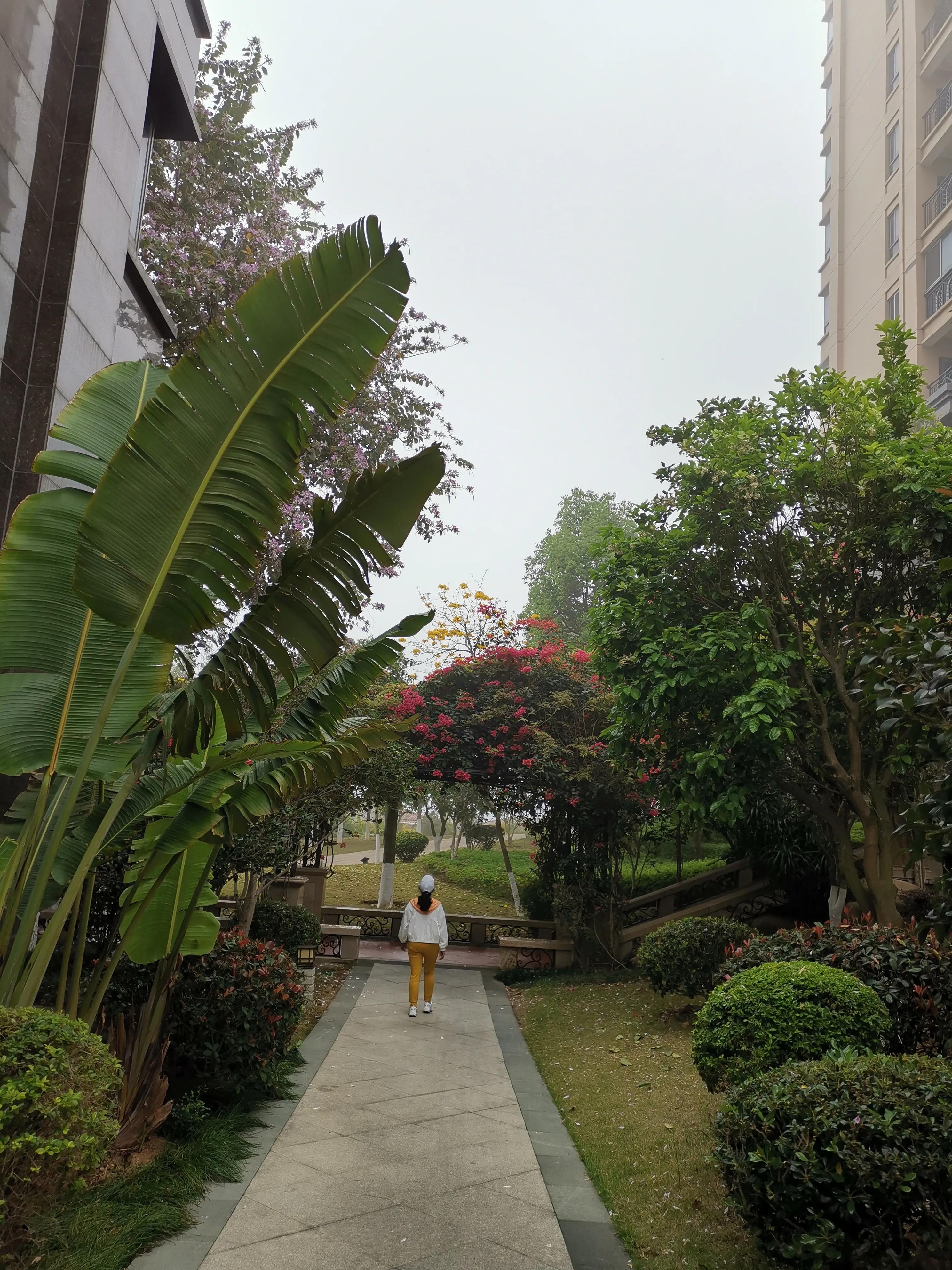 濮戝珎鏃呰璁板綍,濮戝珎鏃呰鏃ヨ