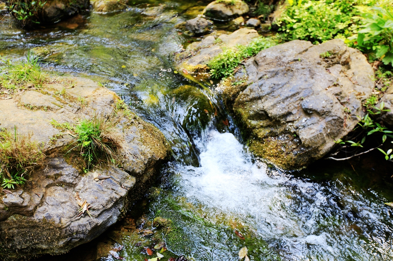 金秋野花沟在哪里,金秋野花沟照片