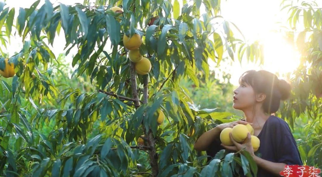 吸粉的小妙招视频,抖音小号养成技巧